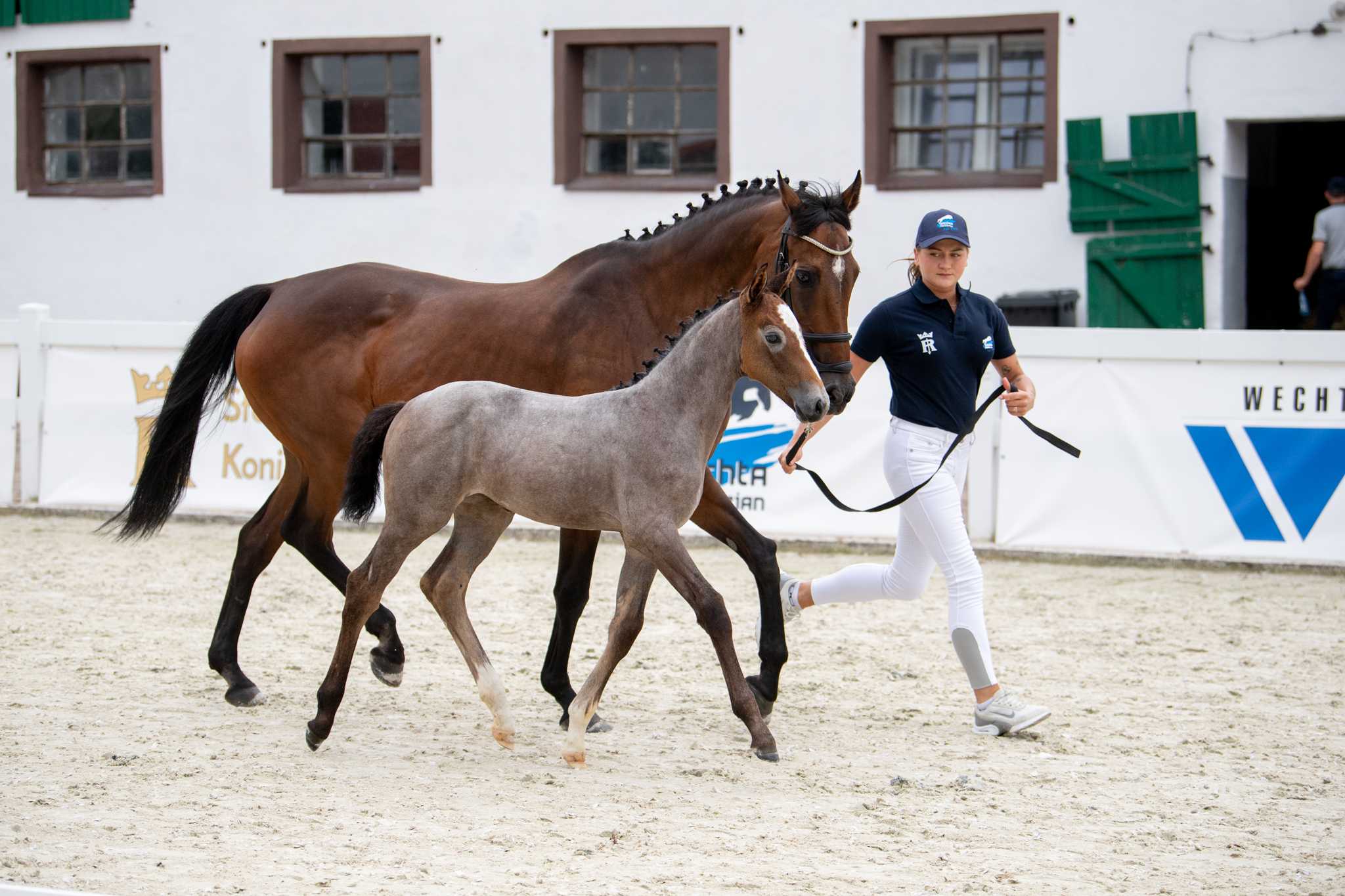 Trinity Quality (Nacho TVL x Quantum) — SP · Mare · 4y