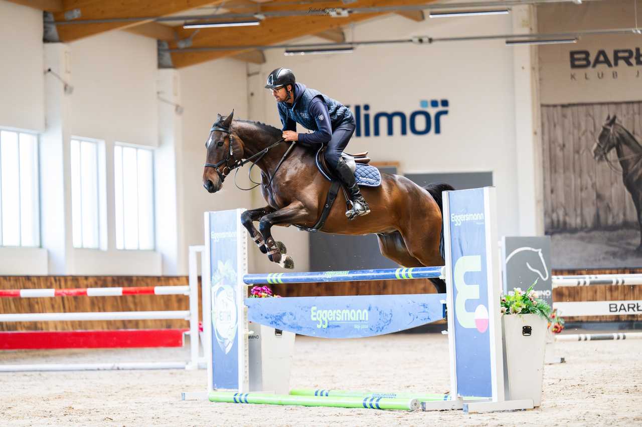 KRAVITZ — Oldenburg · Gelding · 9y