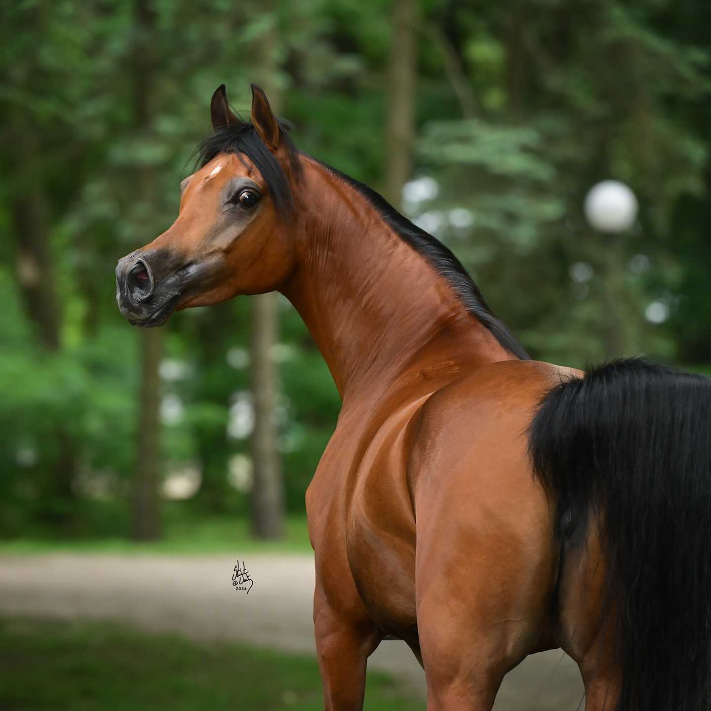 ANUNCJA — Mare · 10y