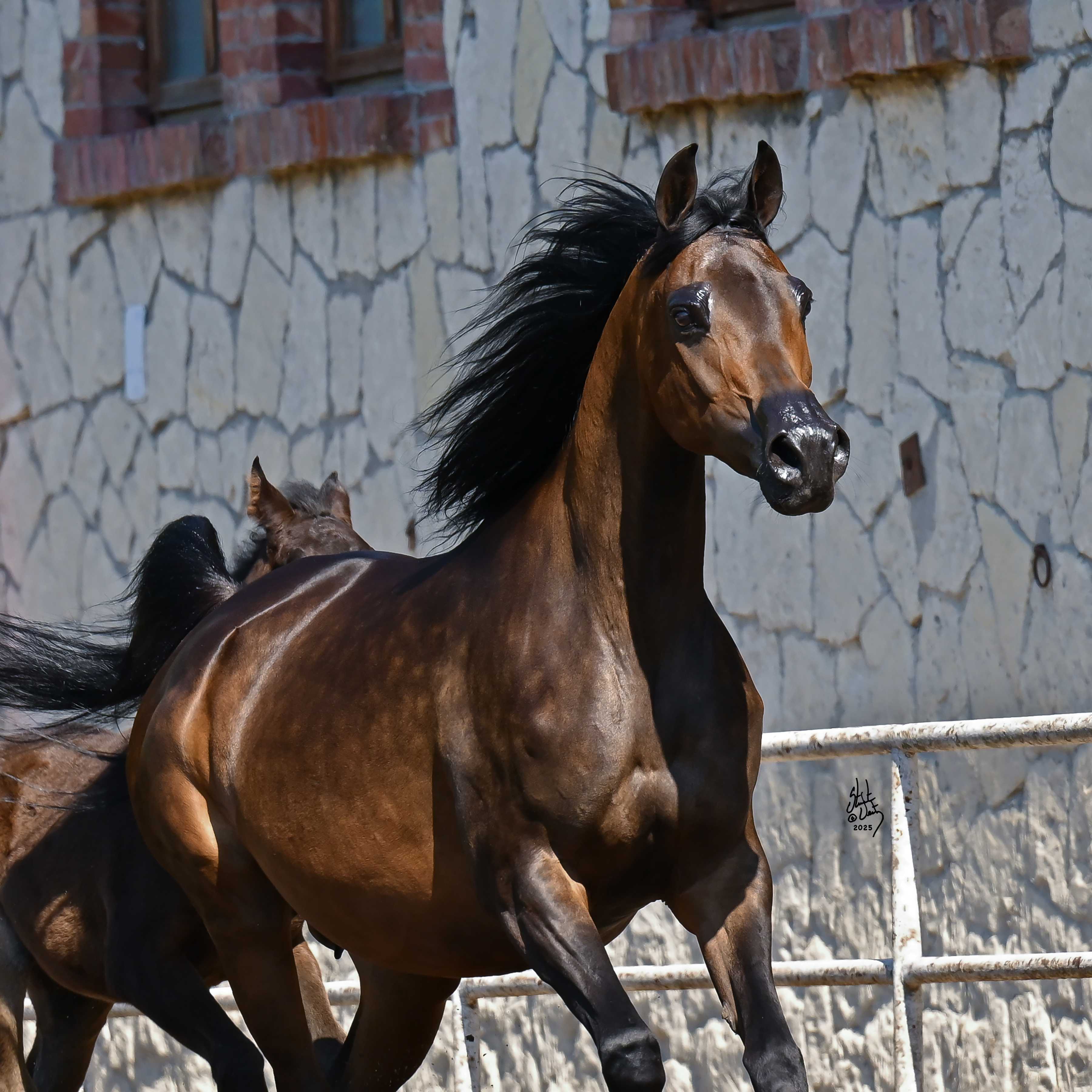 WKRAZA — Mare · 14y